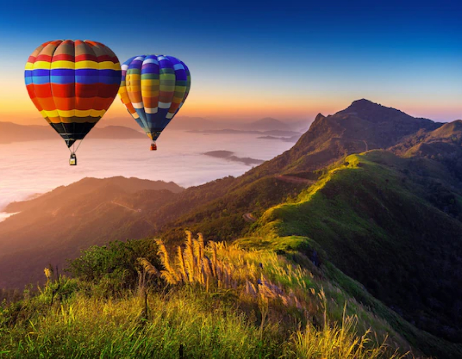 Business Conference Deal 💼